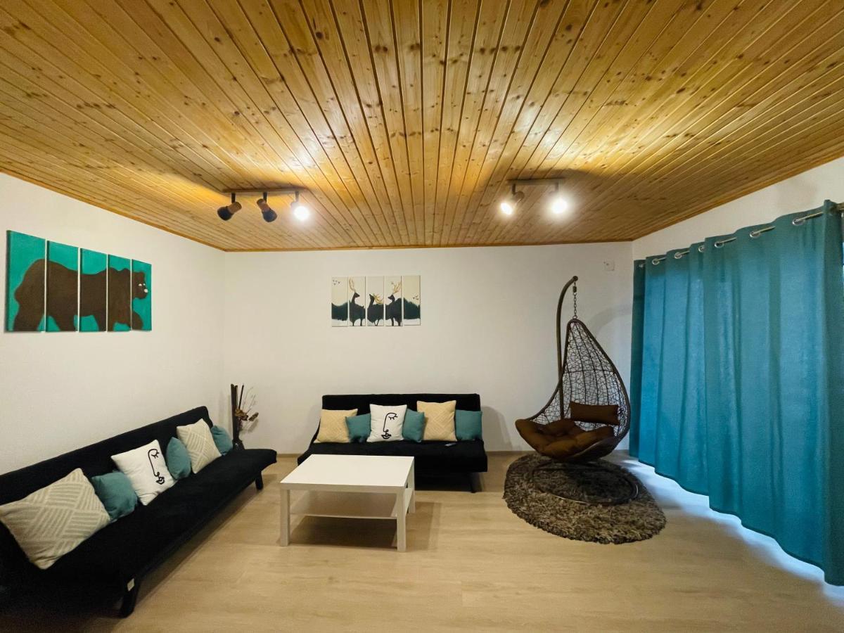 Londof Housing City Center Brasov Apartment ภายนอก รูปภาพ